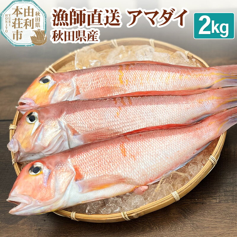 【ふるさと納税】漁師直送 甘鯛 (あまだい) 秋田県産 2kg (配送期間 5月～10月末予定、期間外は次期予...