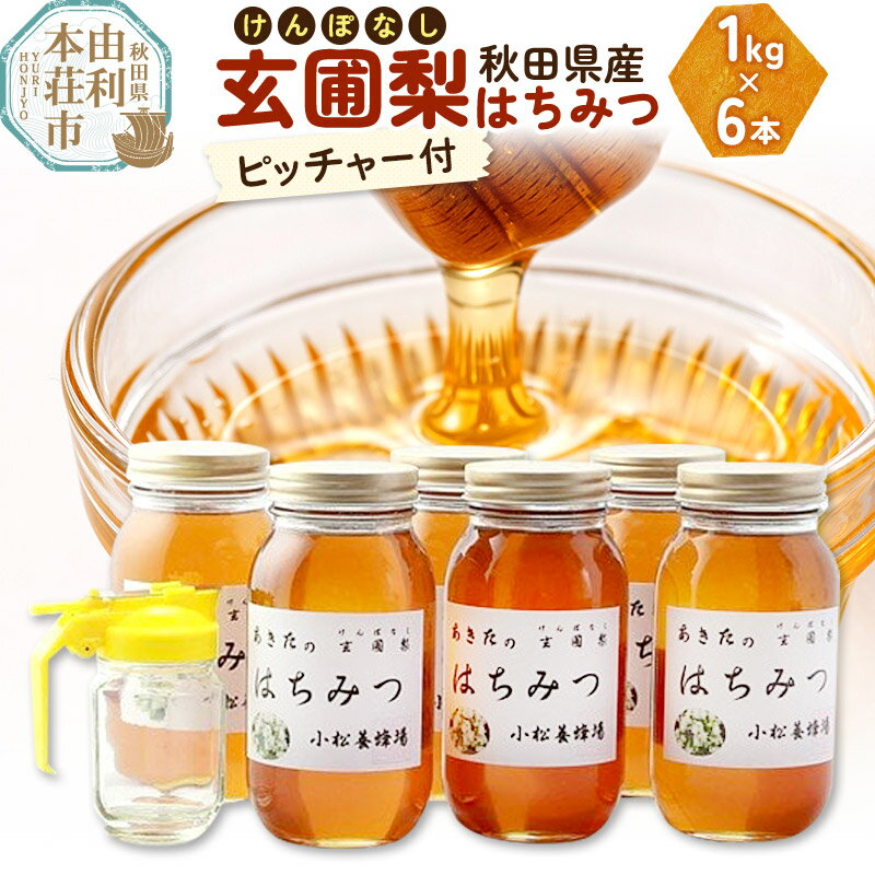 【ふるさと納税】小松養蜂場 はちみつ 秋田県産 100% 玄圃梨蜂蜜 1kg×6本 ピッチャー付