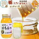【ふるさと納税】小松養蜂場 はちみつ 秋田県産 100% 栃蜂蜜 1.2kg 空ピッチャー付