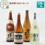 【ふるさと納税】日本酒 秋田県 地酒飲み比べセット 720ml×4本(秋田美人純米酒 雪の茅舎山廃本醸造 清澄辛口本醸造鳥海山 精撰出羽の富士) 17,000円