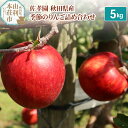 【ふるさと納税】佐孝園 秋田県産 季節のりんご詰め合わせ 5kg