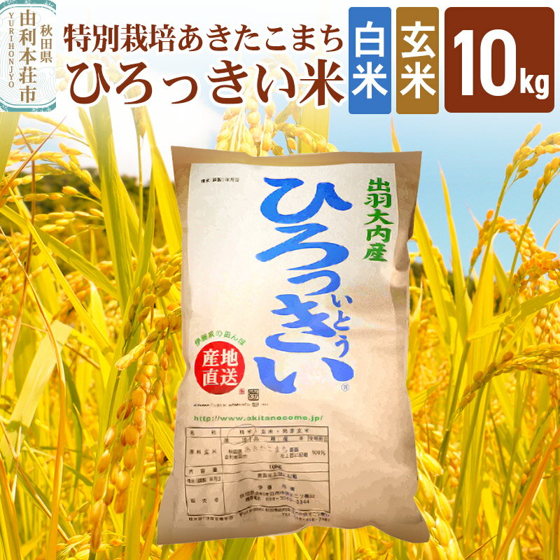 【ふるさと納税】米 10kg 【白米／玄米】 秋田県産 特別栽培あきたこまち 令和5年産 ひろっきい...