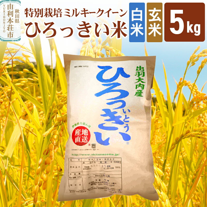 [白米/玄米] 秋田県産 ミルキークイーン 5kg 令和5年産 ひろっきい米