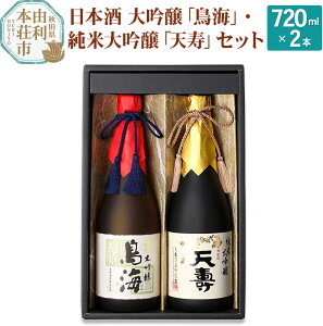 【ふるさと納税】天寿酒造 日本酒 大吟醸「鳥海」・純米大吟醸「天寿」セット 各720ml