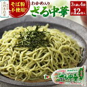 【ふるさと納税】たかやまのざる中華 3人前×4袋セット