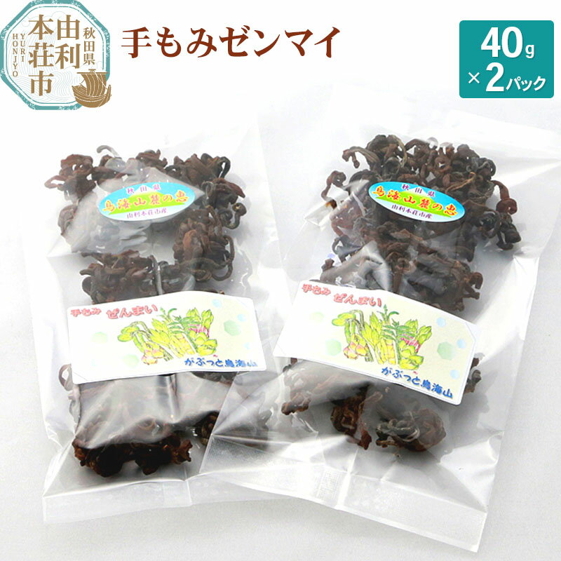 【ふるさと納税】山菜 秋田県産 手もみゼンマイ 40g×2パック【6月中旬以降発送】