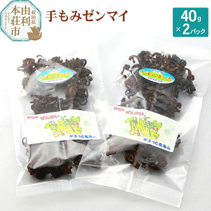 山菜 秋田県産 手もみゼンマイ 40g×2パック【6月中旬以降発送】