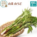 【ふるさと納税】山菜 山うど 400g×2パック（発送は5月頃）