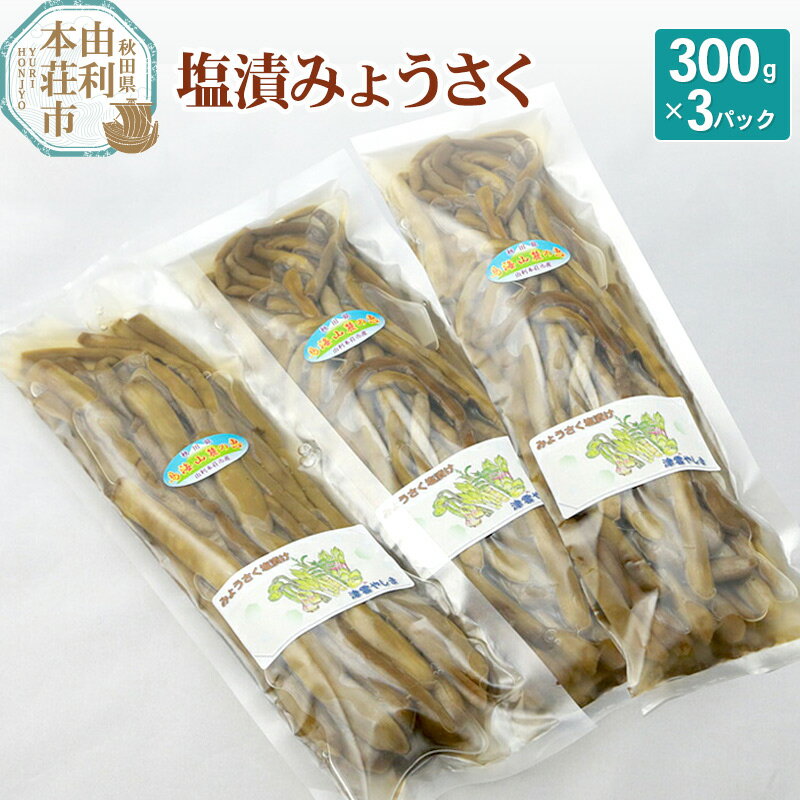 【ふるさと納税】山菜 塩漬 みょうさく 300g×3