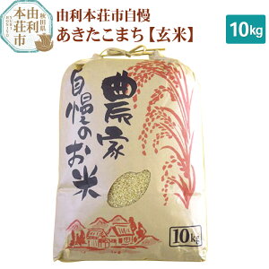 【ふるさと納税】米 10kg 玄米 秋田県産 あきたこまち 令和5年産 自慢のお米 10kg