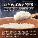 【ふるさと納税】《5ヶ月定期便》令和5年産【玄米】秋田県産ひとめぼれ 10kg（5kg×2袋） 3