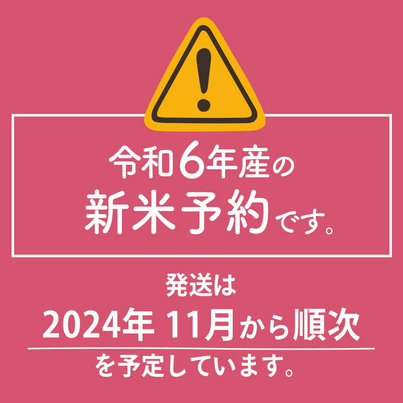 【ふるさと納税】※令和6年産 新米予約※《定期便2ヶ月》【無洗米／白米／玄米】通算5回 特A 秋田県産ひとめぼれ 5kg (5kg×1袋)×2回 お届け周期調整可能 隔月に調整OK【2024年秋ごろ出荷予定】