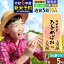 【ふるさと納税】※令和6年産 新米予約※《1回のみお届け》【無洗米／白米／玄米】5年連続特A 秋田県産ひとめぼれ 5kg (5kg×1袋) 【2024年秋ごろ出荷予定】