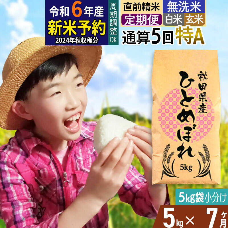 【ふるさと納税】※令和6年産 新米予約※《定期便7ヶ月》【無