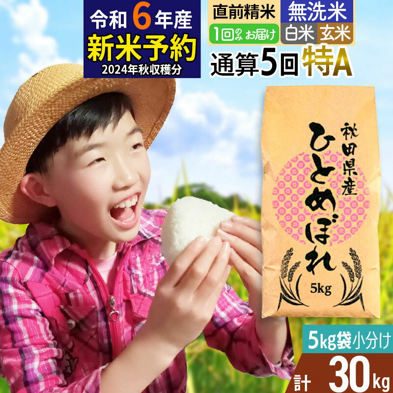 【ふるさと納税】※令和6年産 新米予約※《1回のみお届け》【