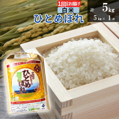 楽天ふるさと納税　【ふるさと納税】【白米】ひとめぼれ 5kg(5kg×1袋) 令和5年産 秋田県由利本荘市産