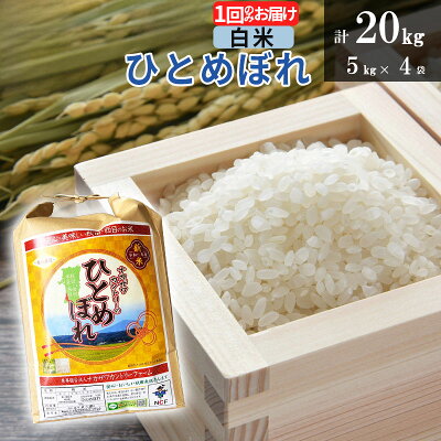 楽天ふるさと納税　【ふるさと納税】【白米】ひとめぼれ 20kg(5kg×4袋) 令和5年産 秋田県由利本荘市産