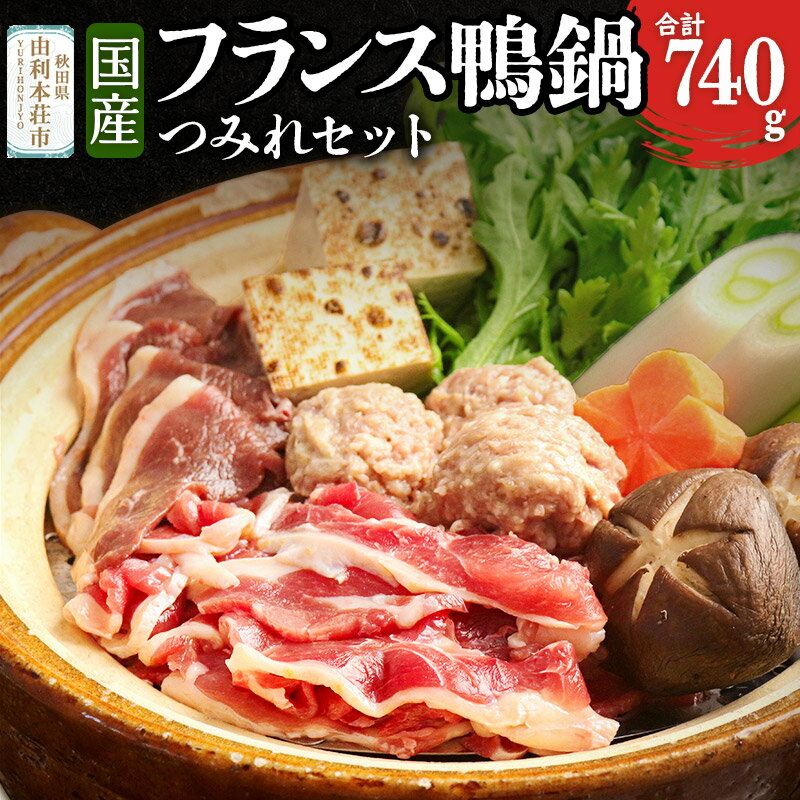 【ふるさと納税】国産 フランス鴨 鍋ミックスセット 合計740g (フランス鴨ロース肉・モモ肉ミックス240g 鴨つみれ250×2 スープ200ml×4)