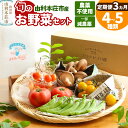 【ふるさと納税】【定期便 3ヶ月】旬のお野菜セット 秋田県 由利本荘市産 栽培期間中農薬不使用 減農薬