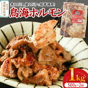 【ふるさと納税】鳥海ホルモン 2個入(500g×2)