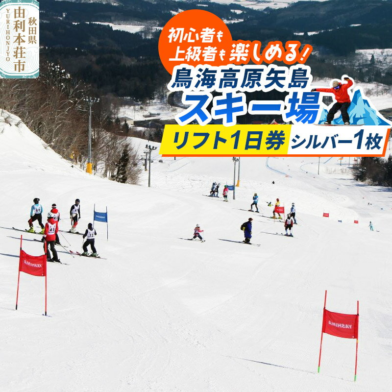 【ふるさと納税】鳥海高原矢島スキー場 リフト1日券 シルバー(60歳以上) 1枚【営業期間：2025年12月〜2026年3月】＜簡易書留＞
