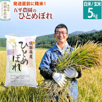 【白米／玄米】 ひとめぼれ 令和5年産 秋田県産 五平農園のひとめぼれ 5kg