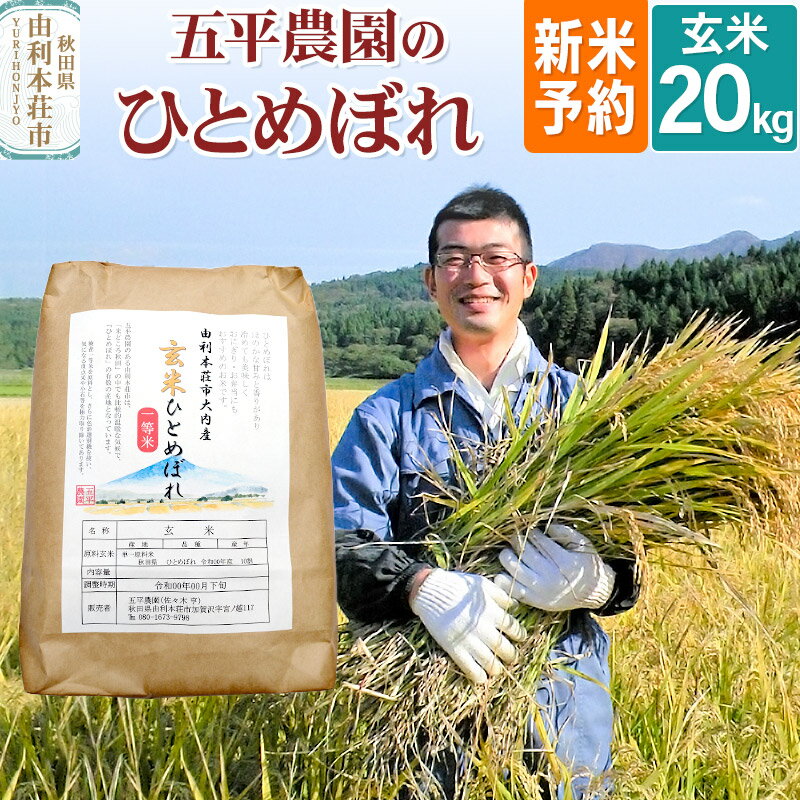 全国お取り寄せグルメ秋田コシヒカリ（玄米）No.3