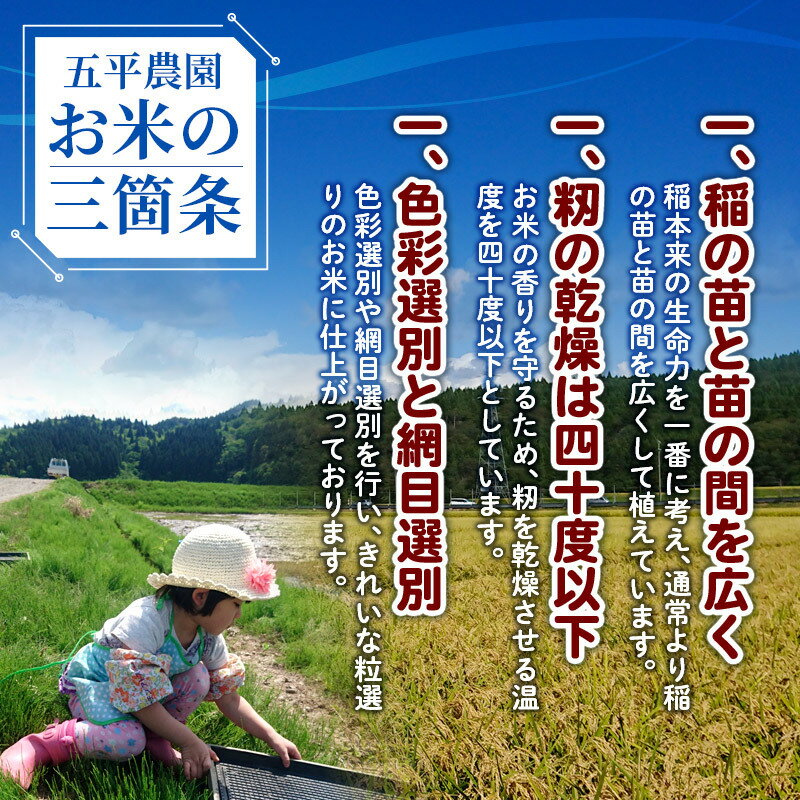 【ふるさと納税】《新米予約》《定期便5ヶ月》【白米】コシヒカリ 令和7年産 秋田県産 五平農園のコシヒカリ 5kg