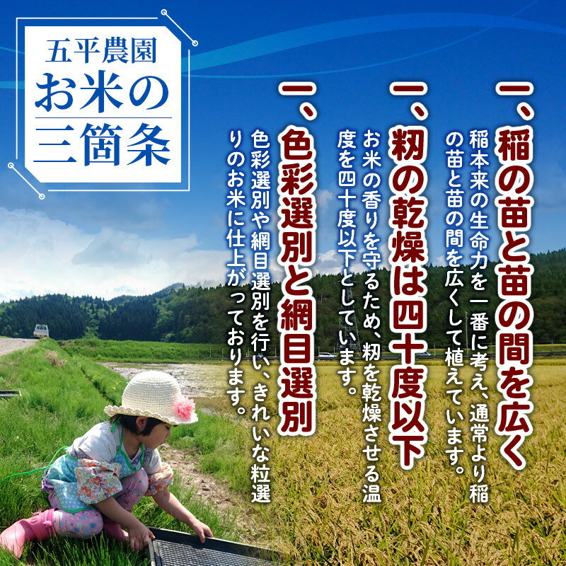 【ふるさと納税】【白米／玄米】 コシヒカリ 令和5年産 秋田県産 北国秋田のコシヒカリ 10kg