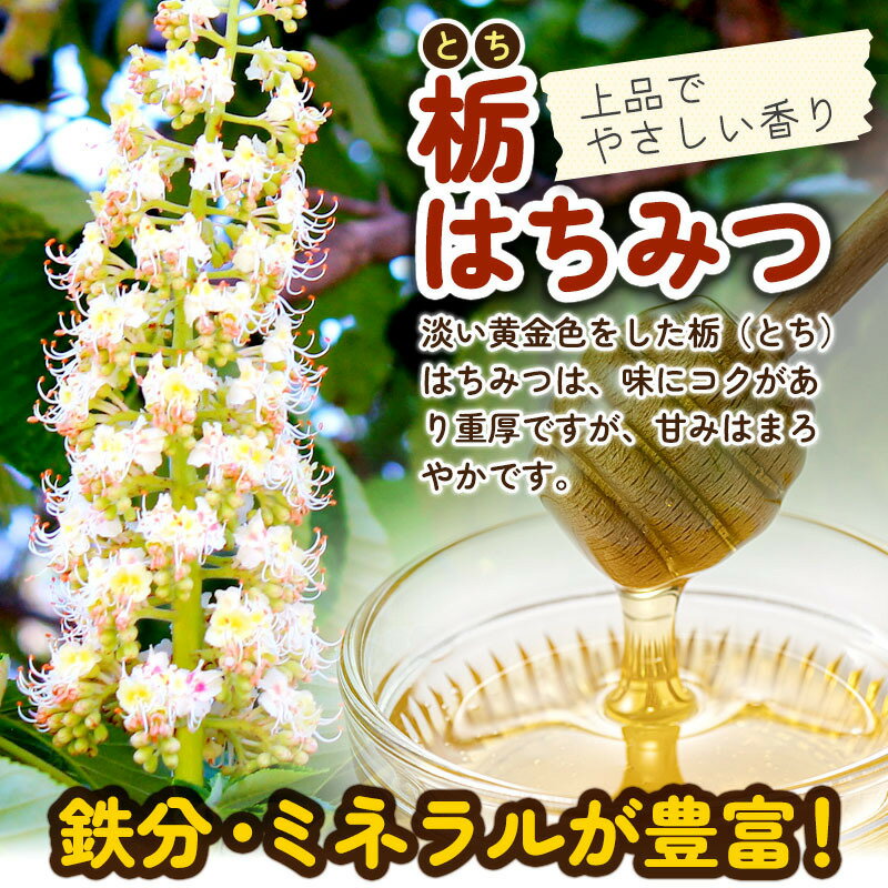 【ふるさと納税】小松養蜂場 はちみつ 秋田県産 100% ピッチャー入 栃蜂蜜 250g