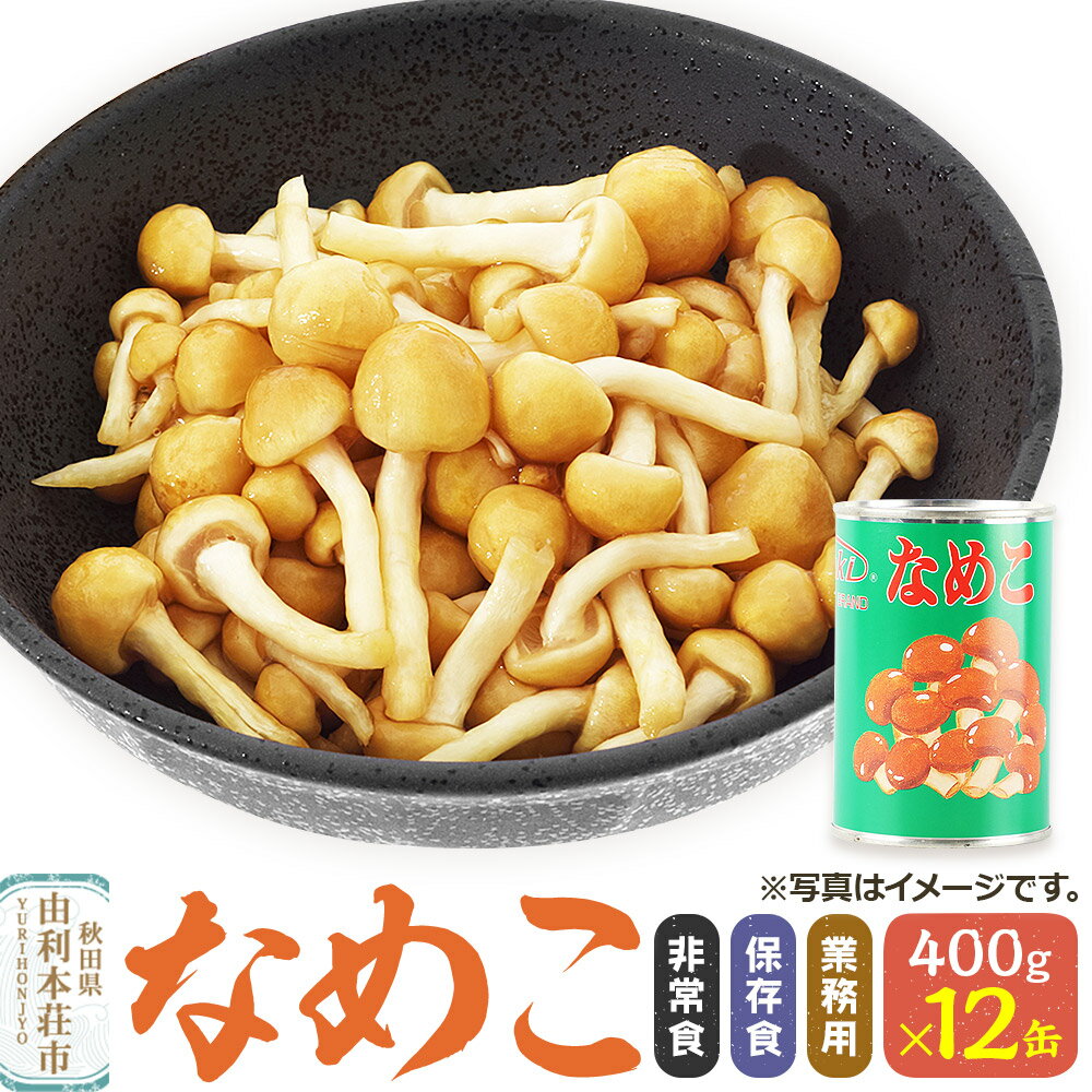 【ふるさと納税】なめこ 400g(固形量200g)×12缶 缶詰 国産 非常食 保存食 業務用