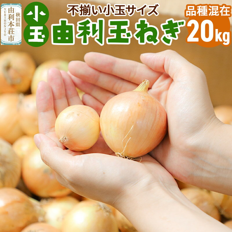 【ふるさと納税】由利本荘市産　由利玉ねぎ（小玉）20kg【品種混在】