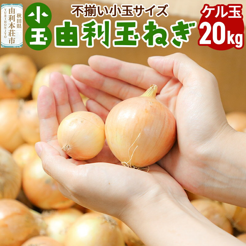 【ふるさと納税】由利本荘市産　由利玉ねぎ（小玉）20kg【ケル玉】