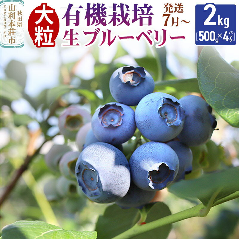【ふるさと納税】【発送7月から順次】田口農園 秋田県産 ブルーベリー 生 合計2kg(500g×4パック)のサムネイル