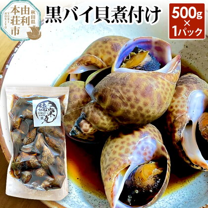 《予約品》《2024年3月より発送予定》黒バイ貝煮付け 500g