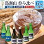 【ふるさと納税】天寿酒造 呑み比べ6本セット(純米大吟醸「鳥海山」2本、純米吟醸「鳥海山」2本、清澄辛口本醸造「鳥海山」2本 各300ml) 18,000円