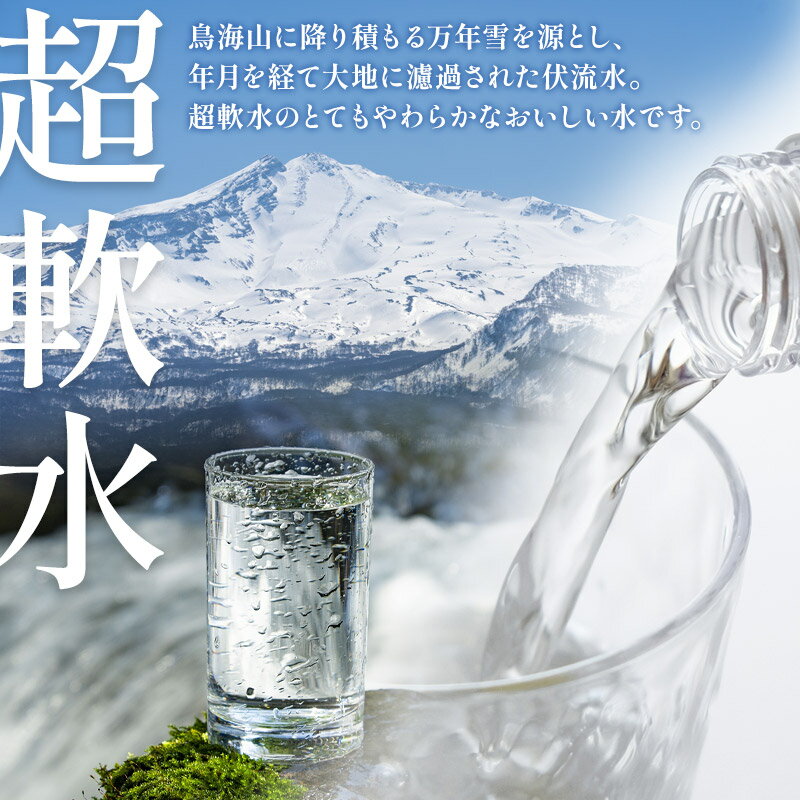 【ふるさと納税】鳥海山自然水(2L)8本×3か月連続 計24本
