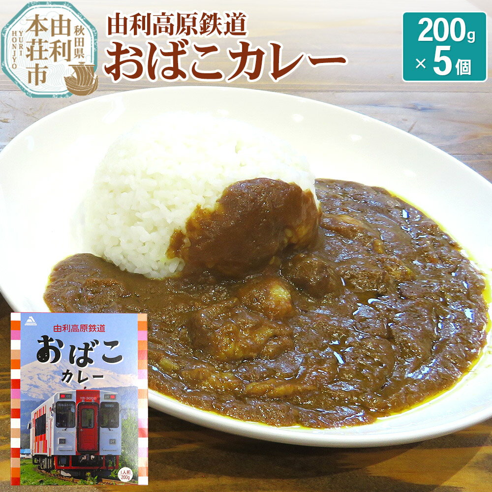 【ふるさと納税】由利高原鉄道 おばこカレー 中辛 200g×5個セット