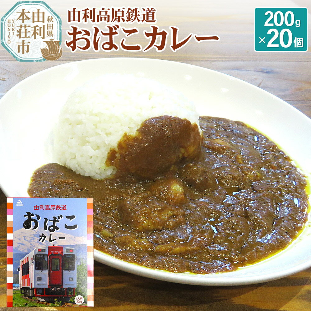 【ふるさと納税】由利高原鉄道 おばこカレー 中辛 200g×20個セット