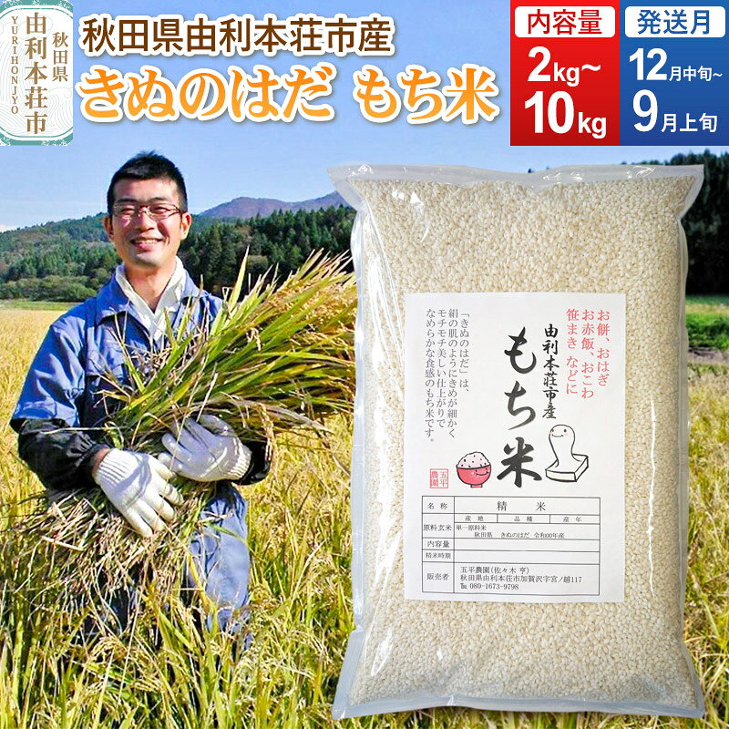 【ふるさと納税】《予約受付》【お盆・お彼岸】【もち米】令和7年産 秋田県 由利本荘市産 きぬのはだ 精米 【選べる内容量 2kg／5kg／10kg（5kg×2袋） 選べる発送月】