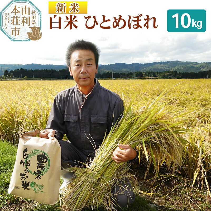 【ふるさと納税】【白米】 ＜通算5回 特A＞ ひとめぼれ 10kg 令和7年産 新米 農家直送 渡部さんのひとめぼれ(4)
