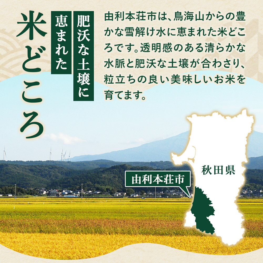【ふるさと納税】【白米】秋田県由利本荘市産 ササニシキ 5kg（5kg×1袋）令和6年産
