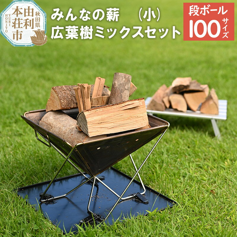 【ふるさと納税】みんなの薪(小) 広葉樹ミックスセット 20cmから25cmカット 100サイズ