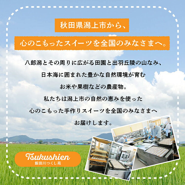 【ふるさと納税】 キャラメル ベイクドチーズケーキ 6個 セット 洋菓子 お菓子 ケーキ チーズケーキ チーズ 詰め合わせ 冷蔵 冷凍 ご当地 グルメ 秋田 潟上市 訳あり 【つくし苑】