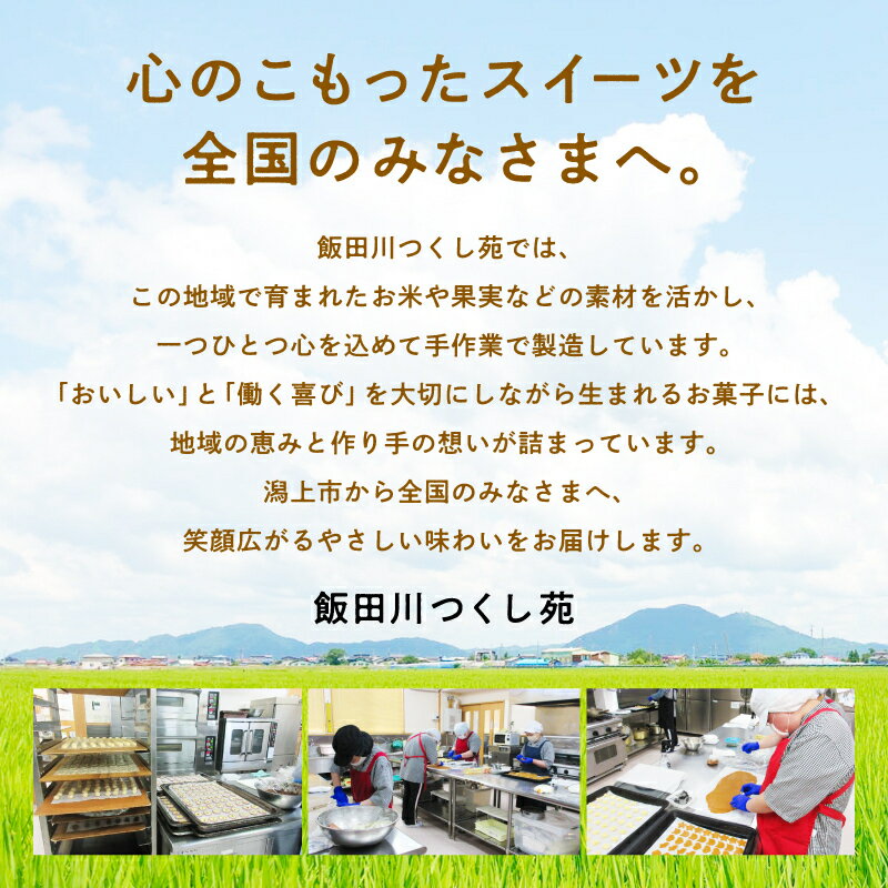 【ふるさと納税】 キャラメル ベイクドチーズケーキ 6個 セット 洋菓子 お菓子 ケーキ チーズケーキ チーズ 詰め合わせ 冷蔵 冷凍 ご当地 グルメ バレンタイン ホワイトデー 遅れてごめんね お取り寄せ 個包装 秋田 潟上市 訳あり 【つくし苑】