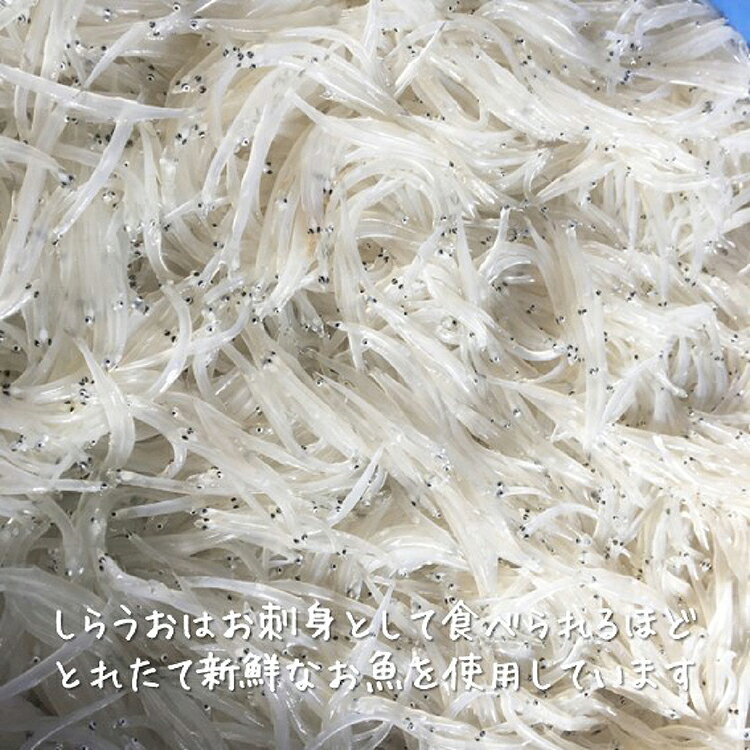 【ふるさと納税】 《秋田名産》うたせ舟〜しらうおくるみ煮〜（ 200g × 4パック） ...