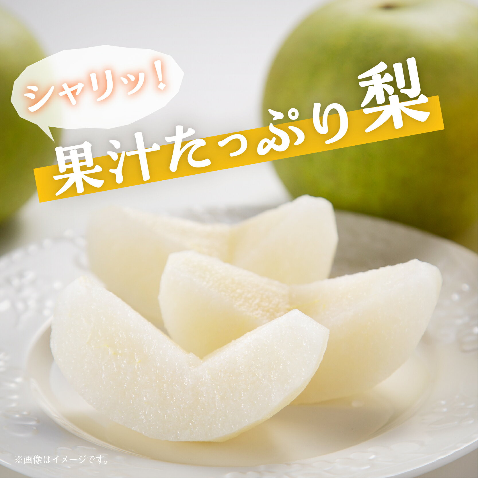 【ふるさと納税】和梨 詰め合わせ 3kg 5kg 旬 甘い くだもの 果物 フルーツ なし ナシ グルメ 人気 おすすめ ランキング 故郷 ふるさと 納税 秋田 秋田県 潟上 潟上市 【舘岡果樹園】 f052116-katagami-10000380 秋田県潟上市 サンプル画像3
