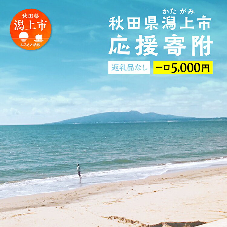 2位! 口コミ数「0件」評価「0」 応援寄附金 （返礼品なし）5,000円 ふるさと応援寄附金 返礼品なし 寄附のみ 寄附金 応援 地域支援 人気 ランキング おすすめ 秋田･･･ 