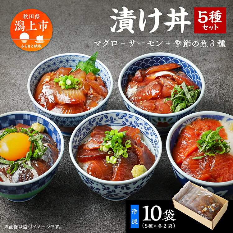 【ふるさと納税】海鮮漬け丼セット 一食60g×10P 5種×