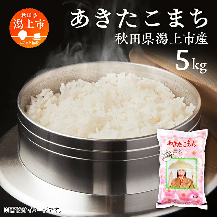 潟上市産 あきたこまち 精米 5kg ( 5kg × 1袋 ) 米 令和5年産 お米 コメ 小分け 旬 新鮮 グルメ おいしい もちもち おすすめ ふるさと 潟上市 秋田 一人暮らし [鐙惣米穀店]